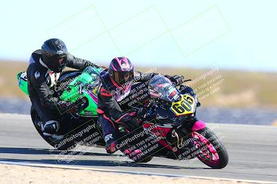 media/Feb-12-2022-SoCal Trackdays (Sat) [[3b21b94a56]]/Turn 11 Inside (155pm)/